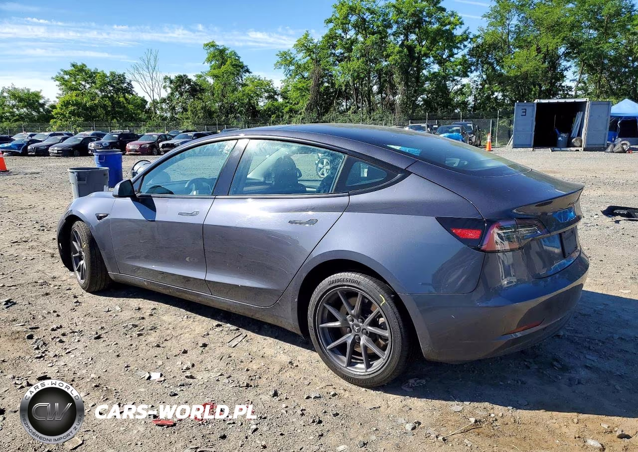 2023 Tesla Model 3 VIN:5YJ3E1EA9PF569902 - 2