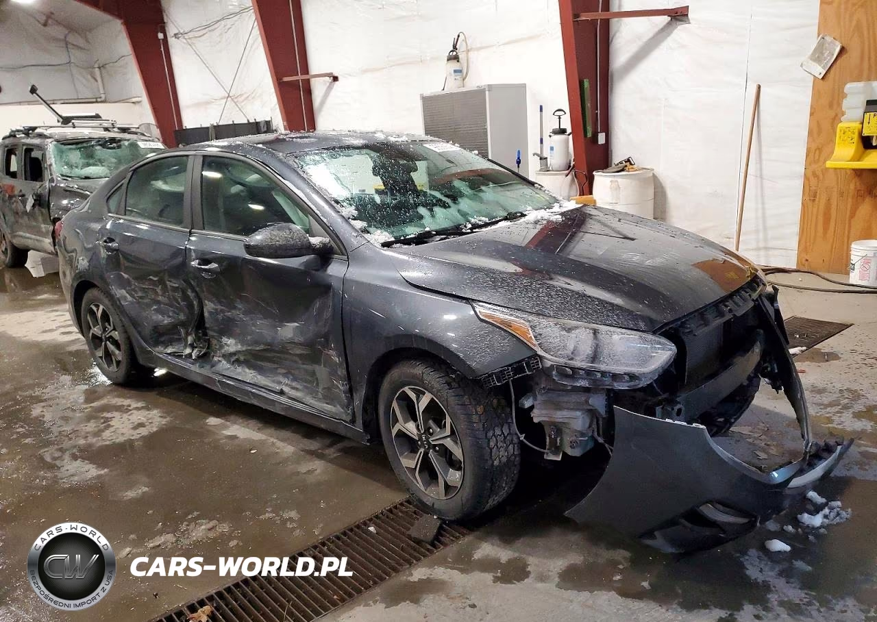 2020 Kia Forte Fe VIN:3KPF24AD0LE148237 - 4