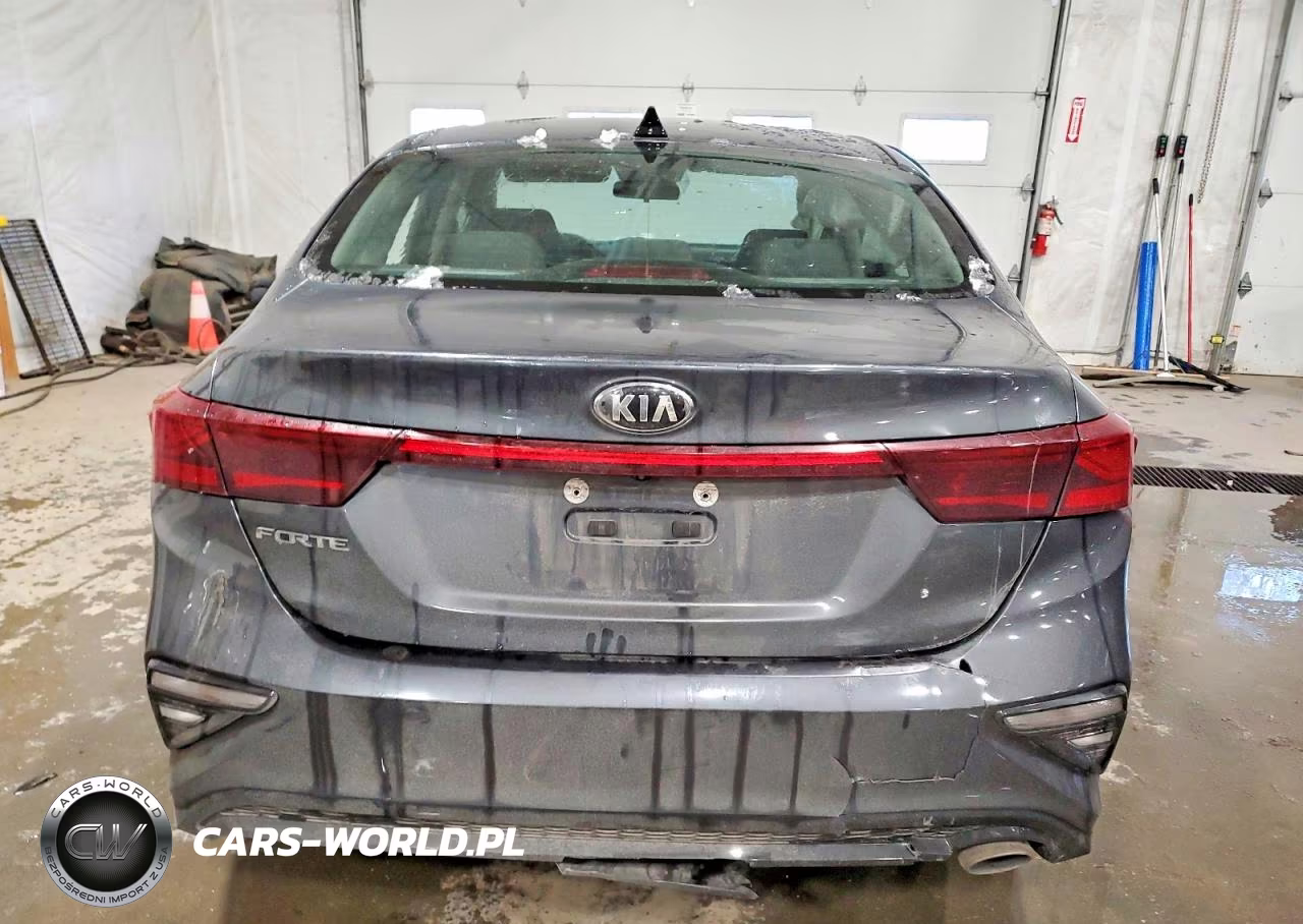 2020 Kia Forte Fe VIN:3KPF24AD0LE148237 - 6