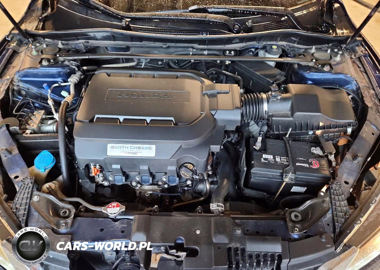 2014 Honda Accord Exl VIN:1HGCR3F80EA028238 - 11