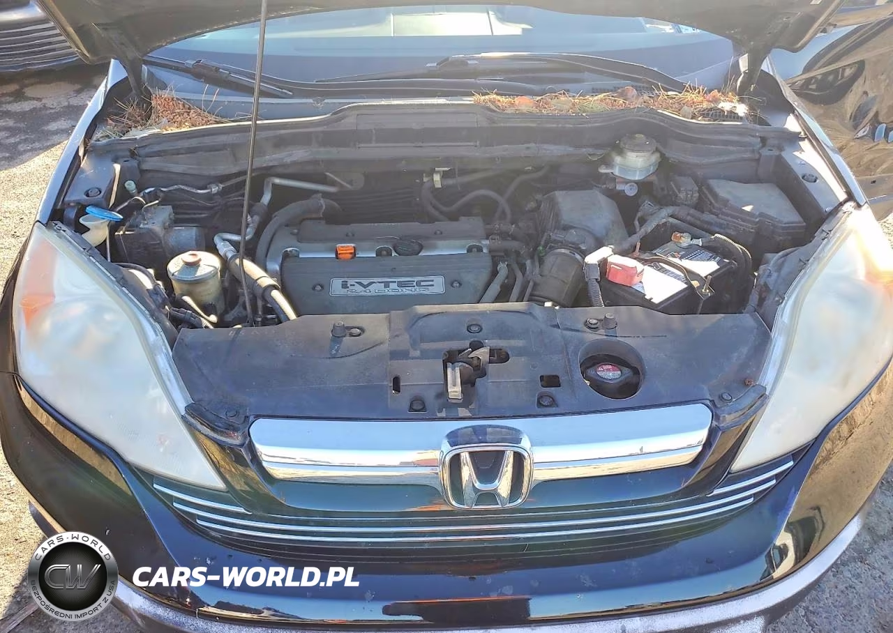2008 Honda Cr-V Exl VIN:JHLRE48728C057895 - 12
