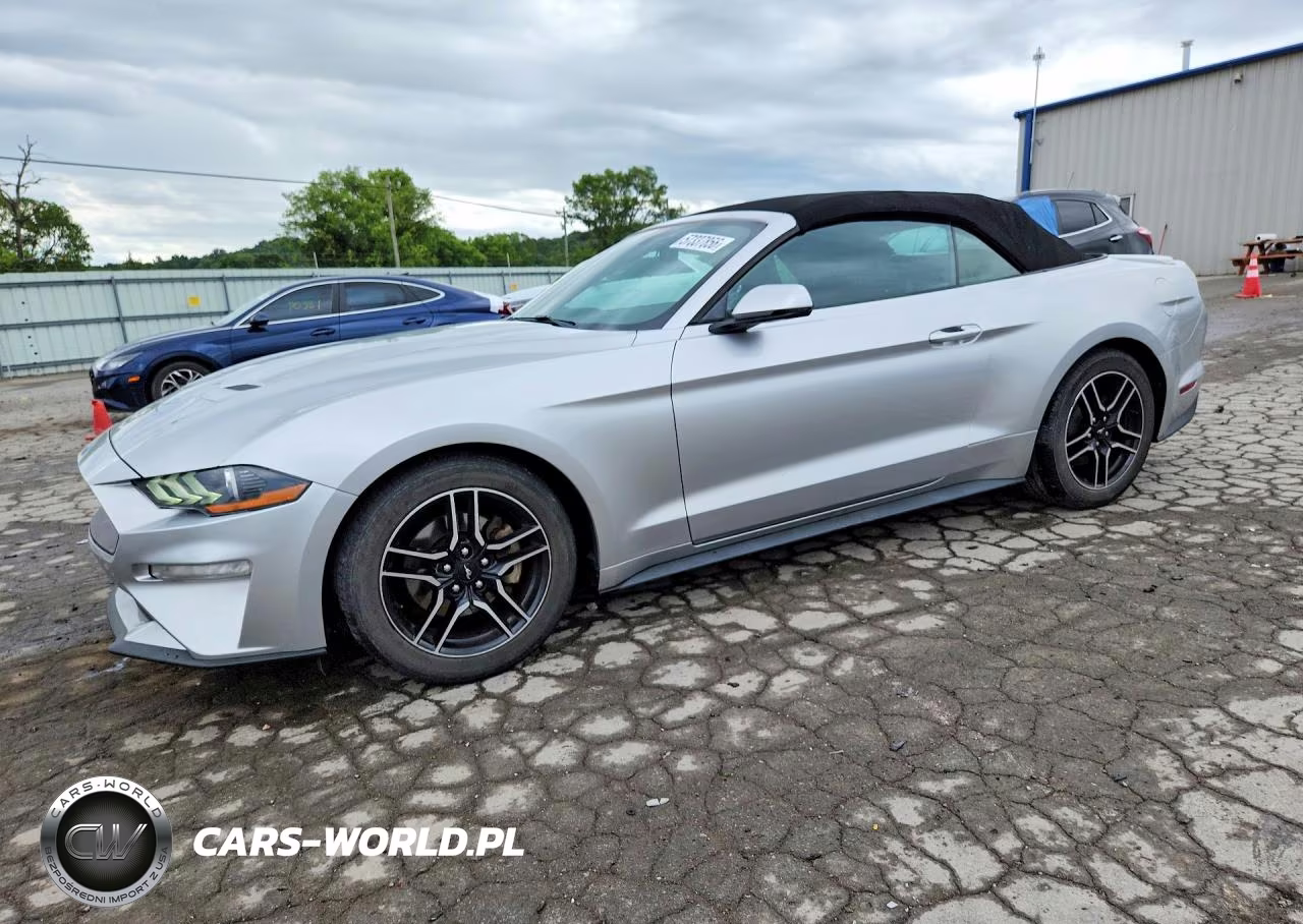 2019 Ford Mustang