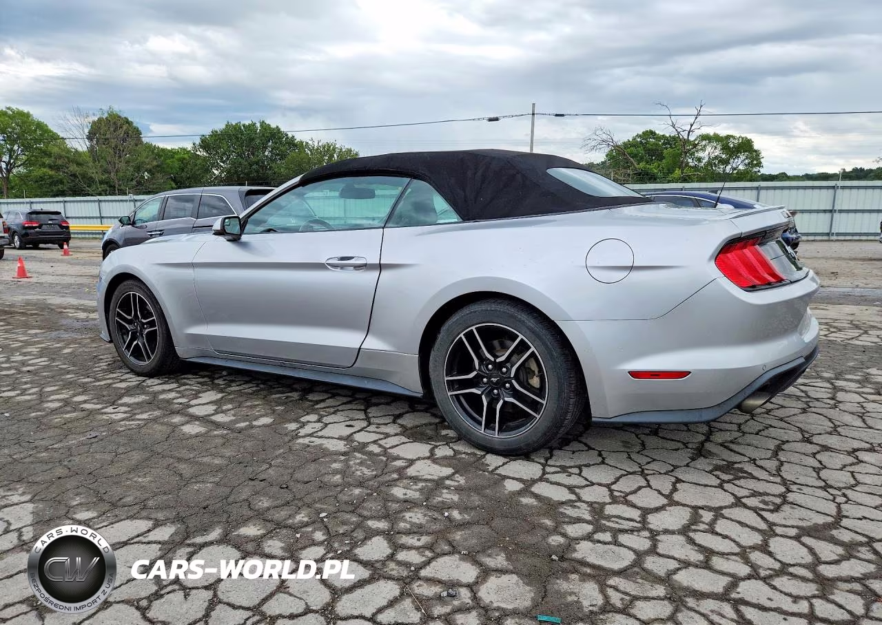 2019 Ford Mustang VIN:1FATP8UH0K5170507 - 2