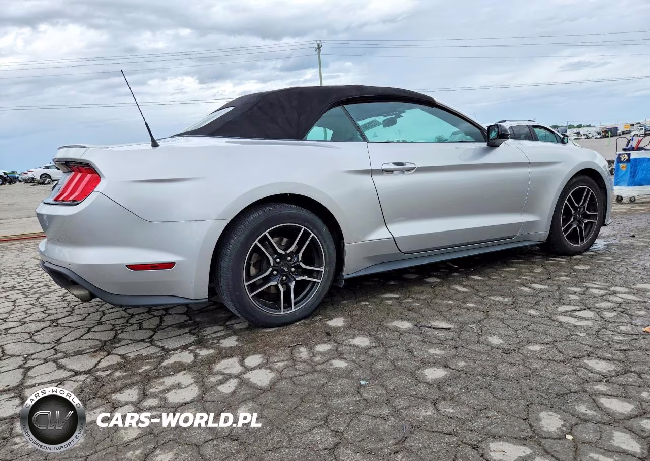 2019 Ford Mustang VIN:1FATP8UH0K5170507 - 3