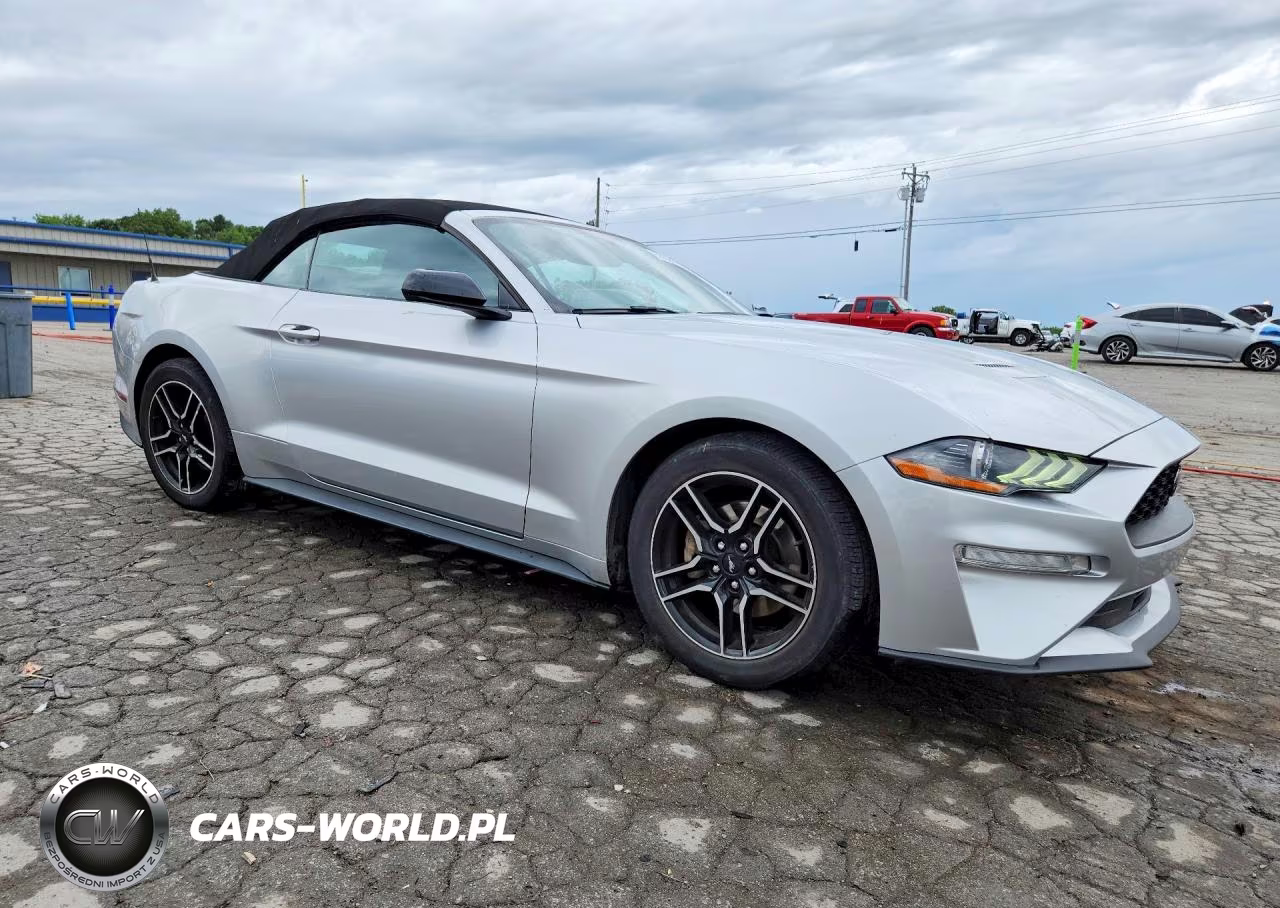 2019 Ford Mustang VIN:1FATP8UH0K5170507 - 4