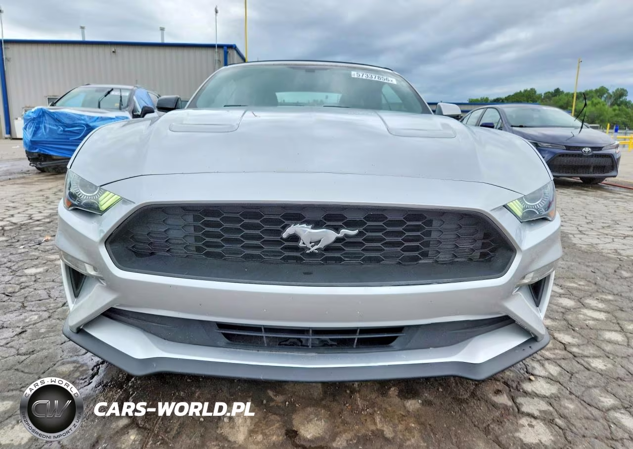 2019 Ford Mustang VIN:1FATP8UH0K5170507 - 5