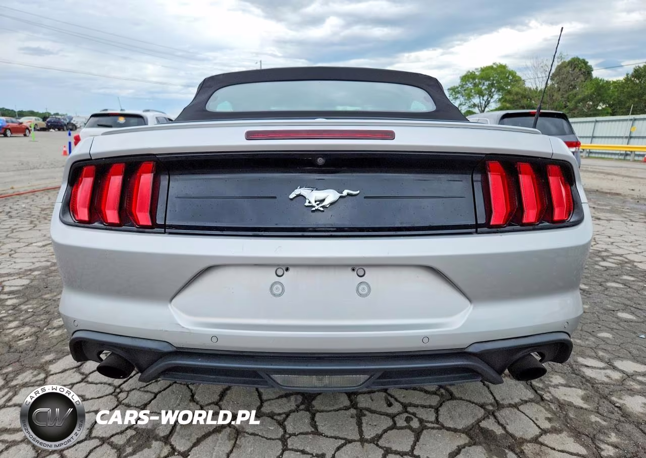 2019 Ford Mustang VIN:1FATP8UH0K5170507 - 6