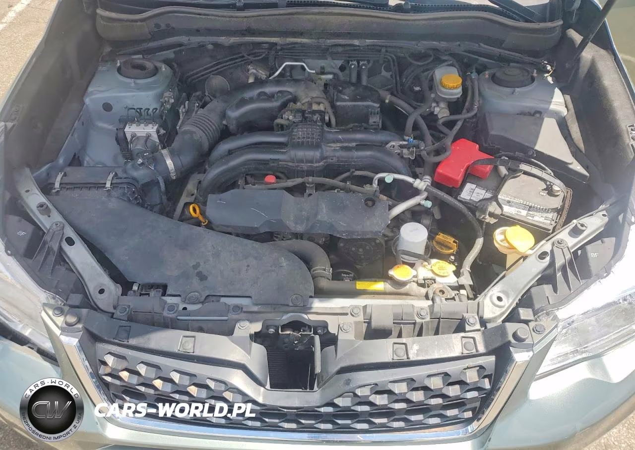 2015 Subaru Forester 2.5I Premium VIN:JF2SJADC7FH825383 - 12
