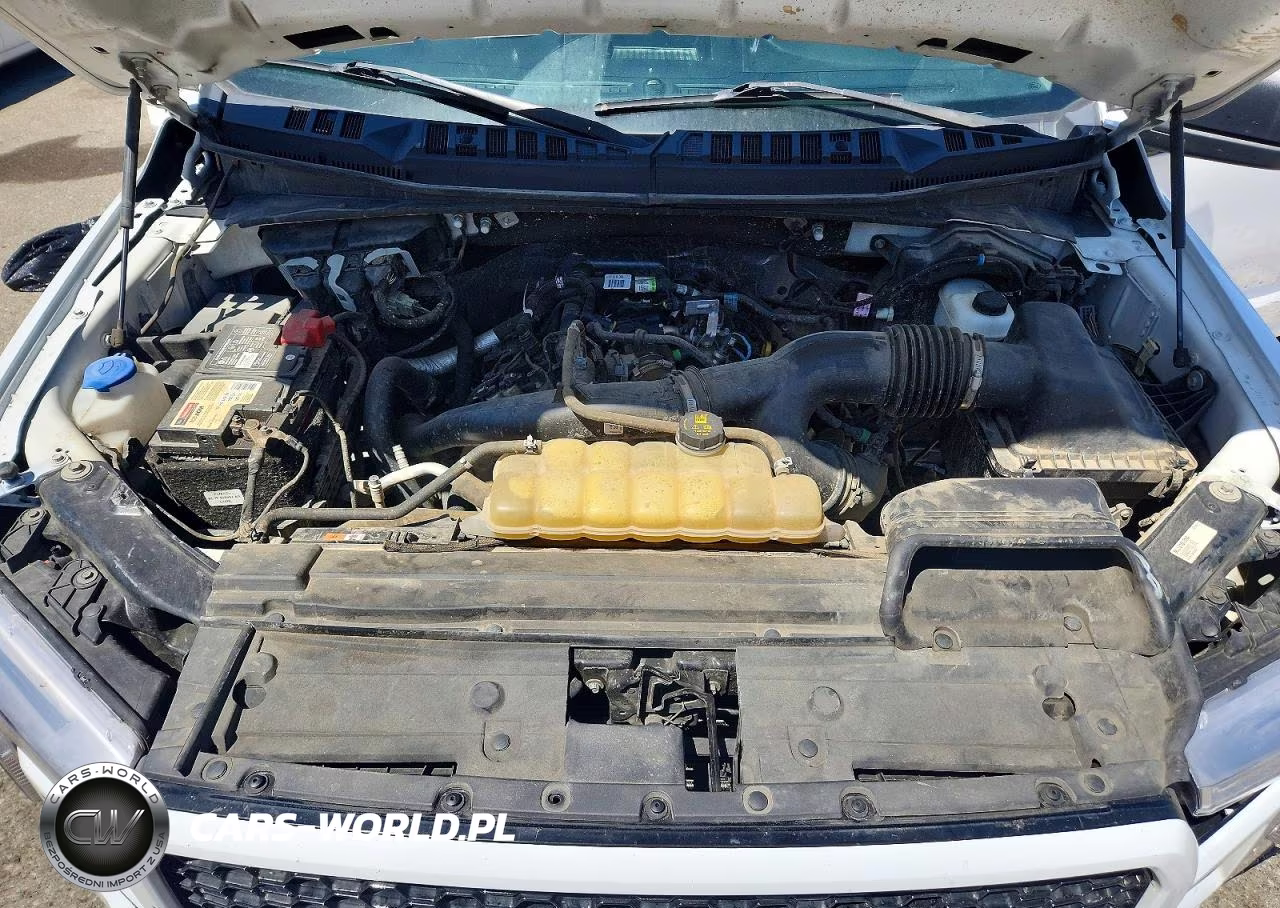 2020 Ford F150 Supercrew VIN:1FTEW1EP8LKE87764 - 11