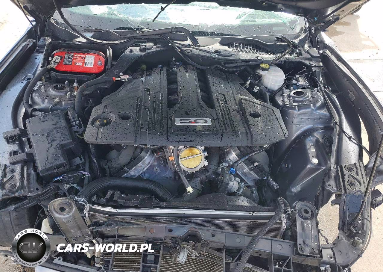 2021 Ford Mustang Gt VIN:1FA6P8CF6M5138192 - 11