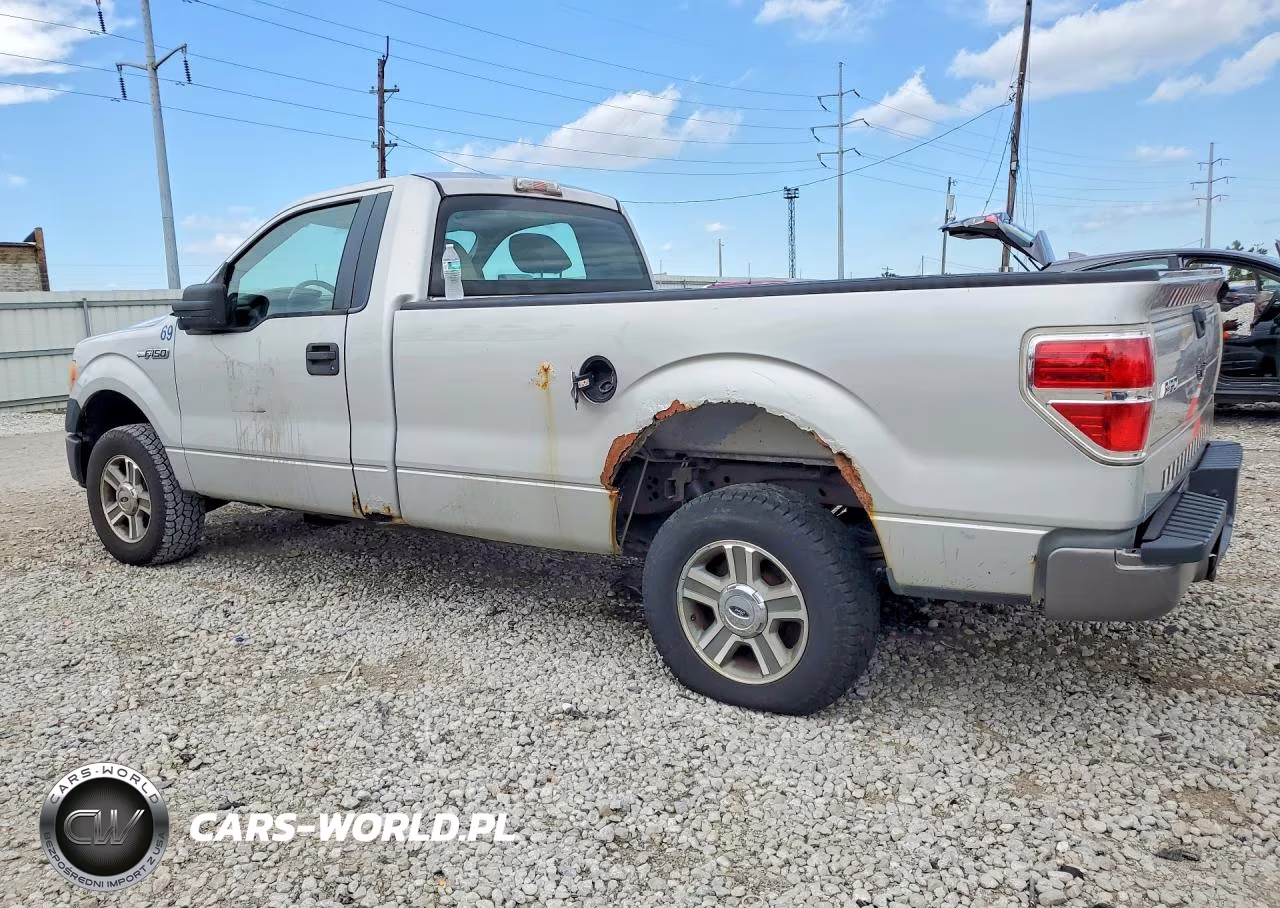 2009 Ford F150 VIN:1FTRF12W49KA73273 - 2