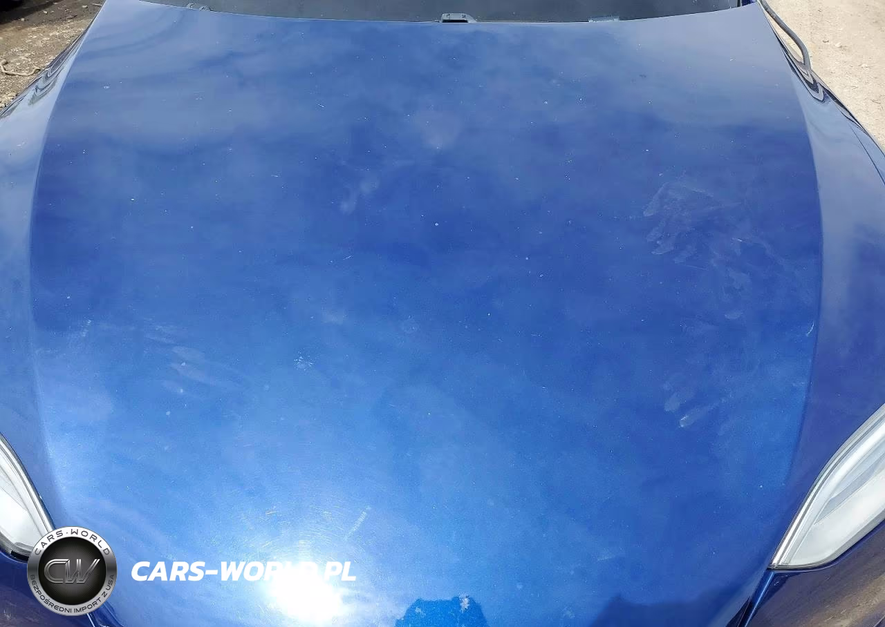 2018 Tesla Model S VIN:5YJSA1E2XJF297822 - 11