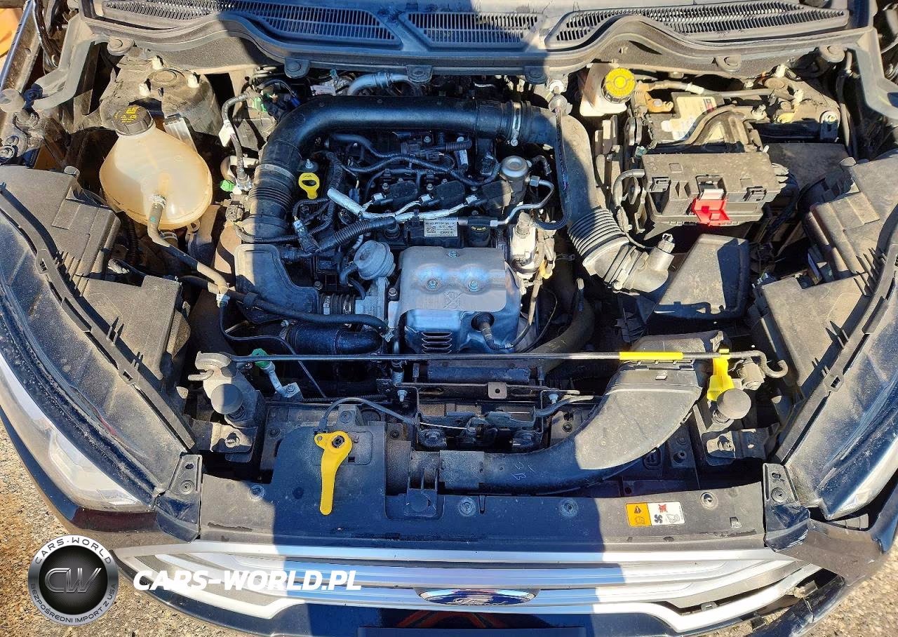 2018 Ford Ecosport Se VIN:MAJ3P1TE8JC234706 - 11
