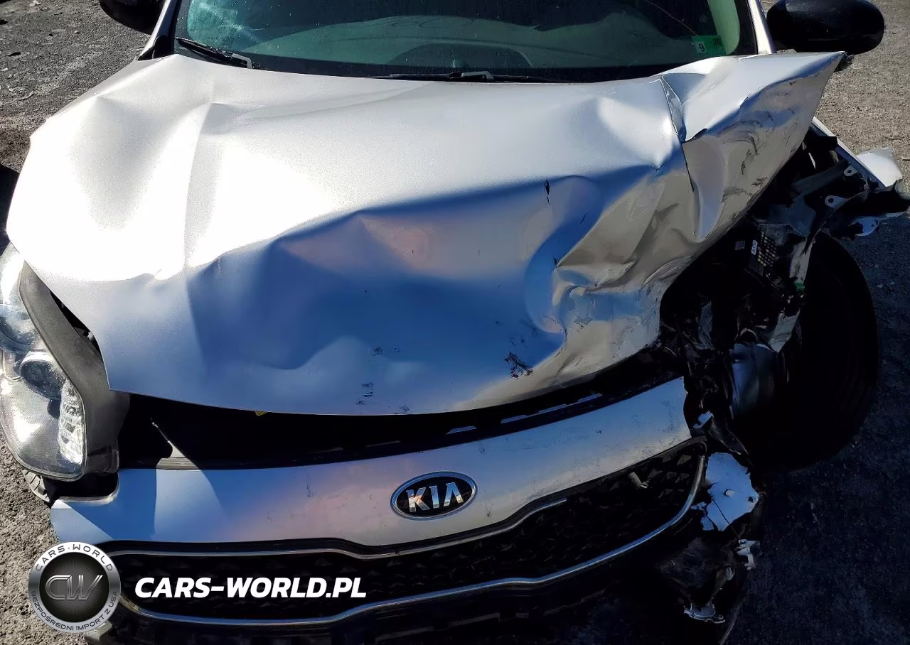 2018 Kia Sportage Lx VIN:KNDPMCAC1J7418234 - 12