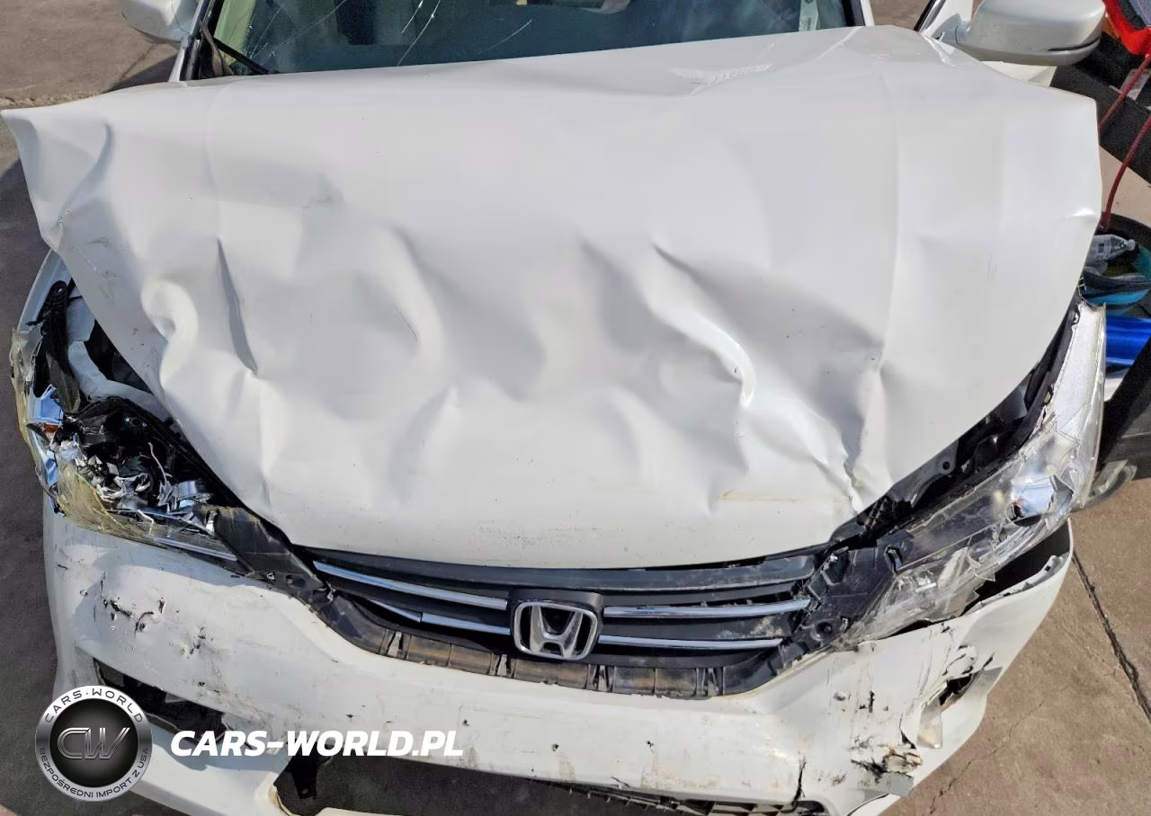 2013 Honda Accord Exl VIN:1HGCR2F86DA091353 - 11