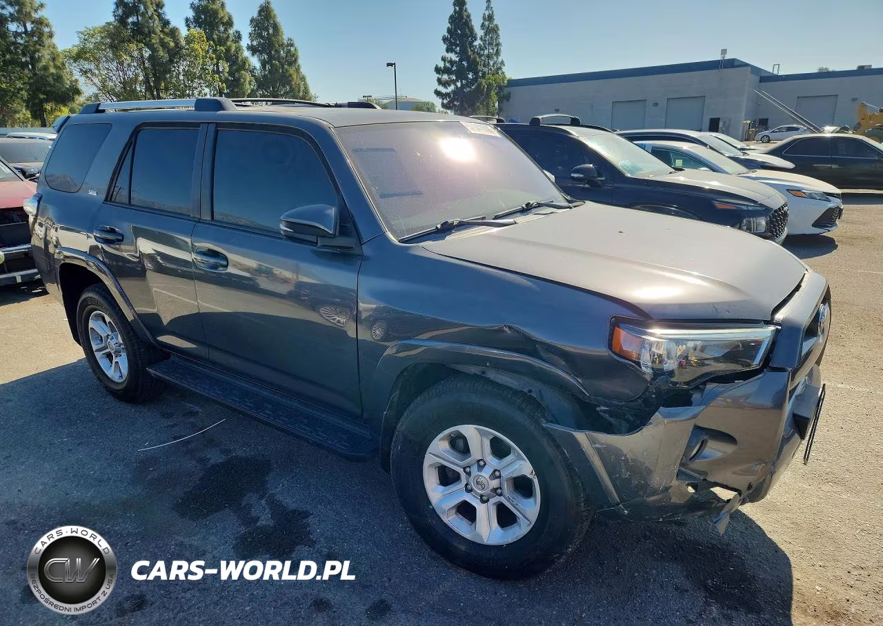 2019 Toyota 4Runner Sr5 Premium VIN:JTEZU5JR3K5212334 - 4