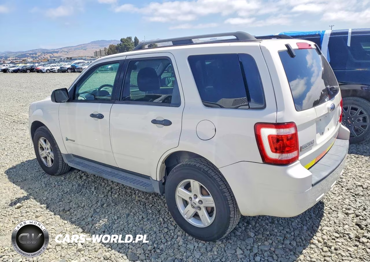 2009 Ford Escape Hybrid VIN:1FMCU493X9KC50557 - 2