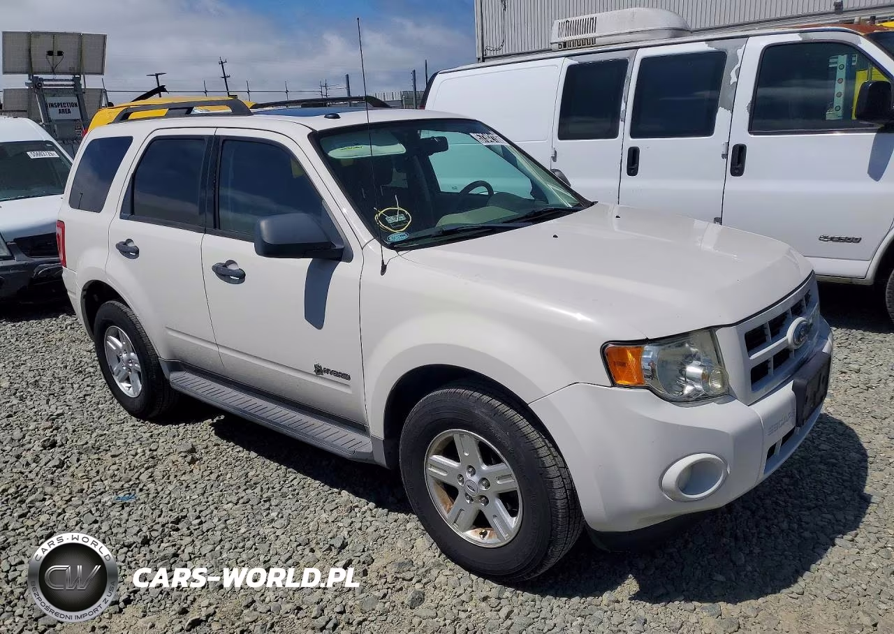 2009 Ford Escape Hybrid VIN:1FMCU493X9KC50557 - 4