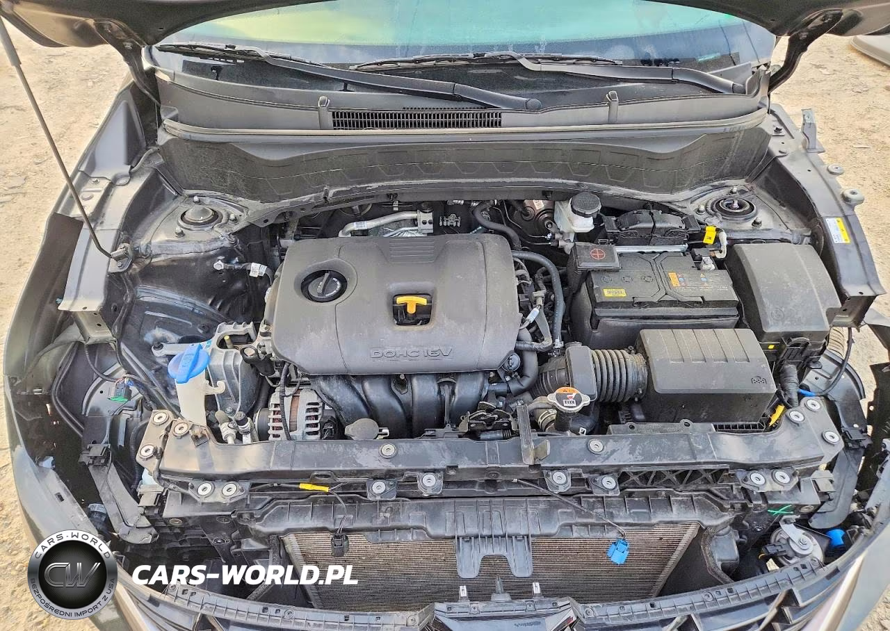 2024 Kia Seltos Ex VIN:KNDERCAA0R7634997 - 12