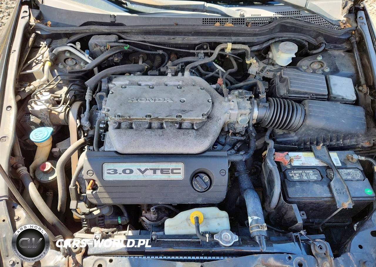 2007 Honda Accord Ex VIN:1HGCM82617A008406 - 11