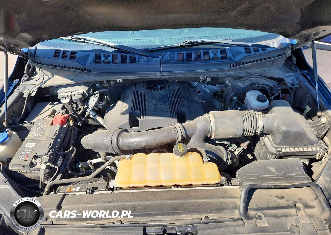 2017 Ford F150 Supercrew VIN:1FTEW1EG3HKD95436 - 11