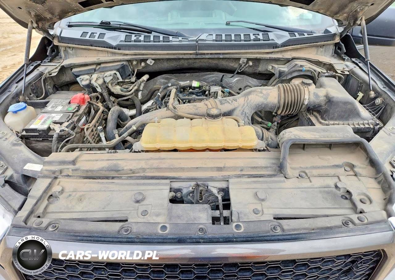 2019 Ford F150 Supercrew VIN:1FTEW1EP3KKC30641 - 11