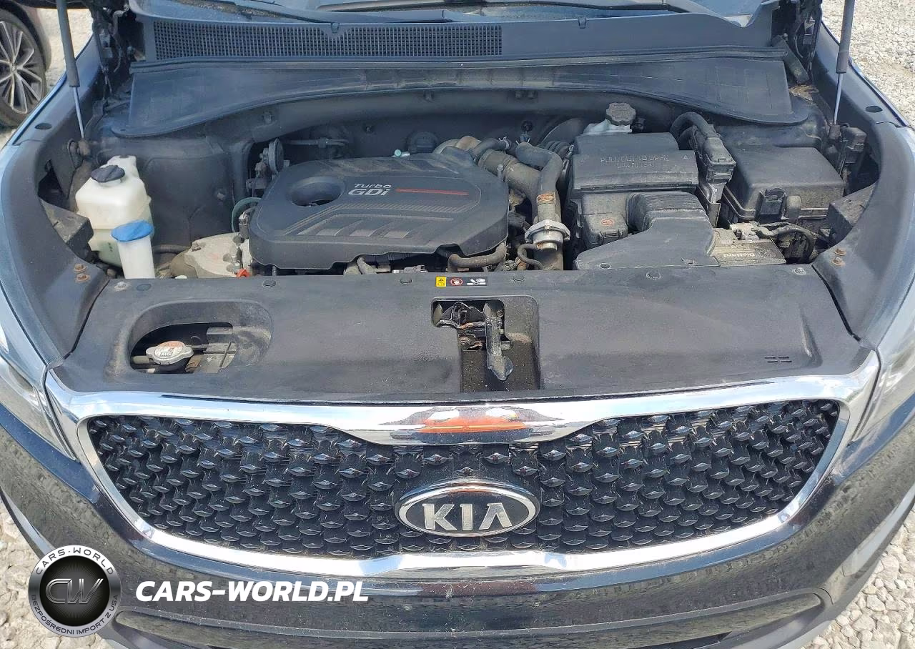 2017 Kia Sorento Ex VIN:5XYPH4A13HG258797 - 12