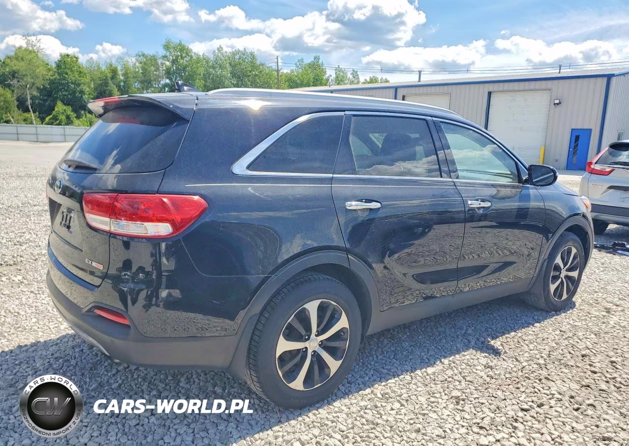 2017 Kia Sorento Ex VIN:5XYPH4A13HG258797 - 3