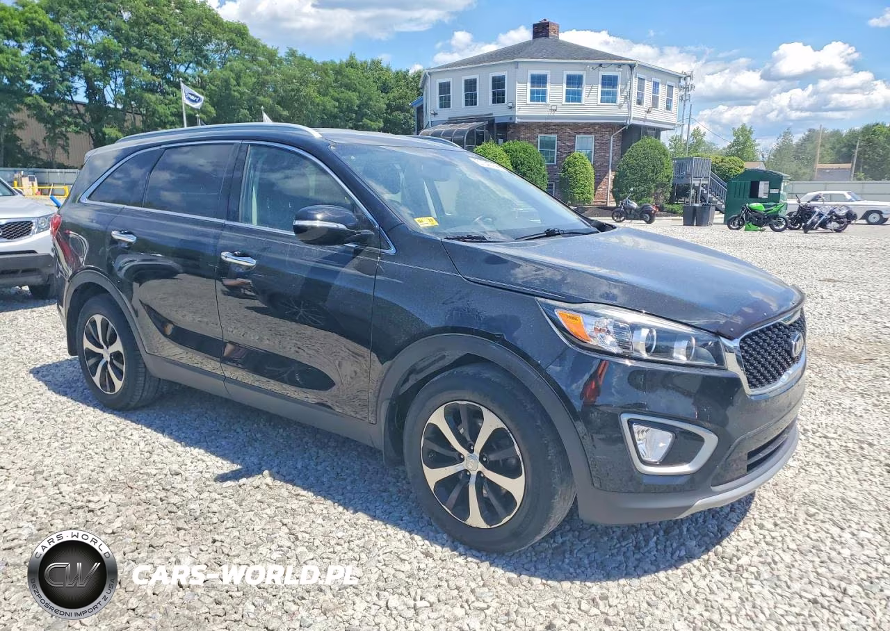 2017 Kia Sorento Ex VIN:5XYPH4A13HG258797 - 4