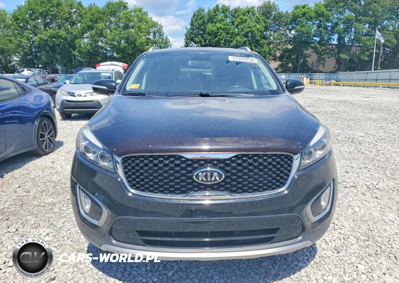 2017 Kia Sorento Ex VIN:5XYPH4A13HG258797 - 5