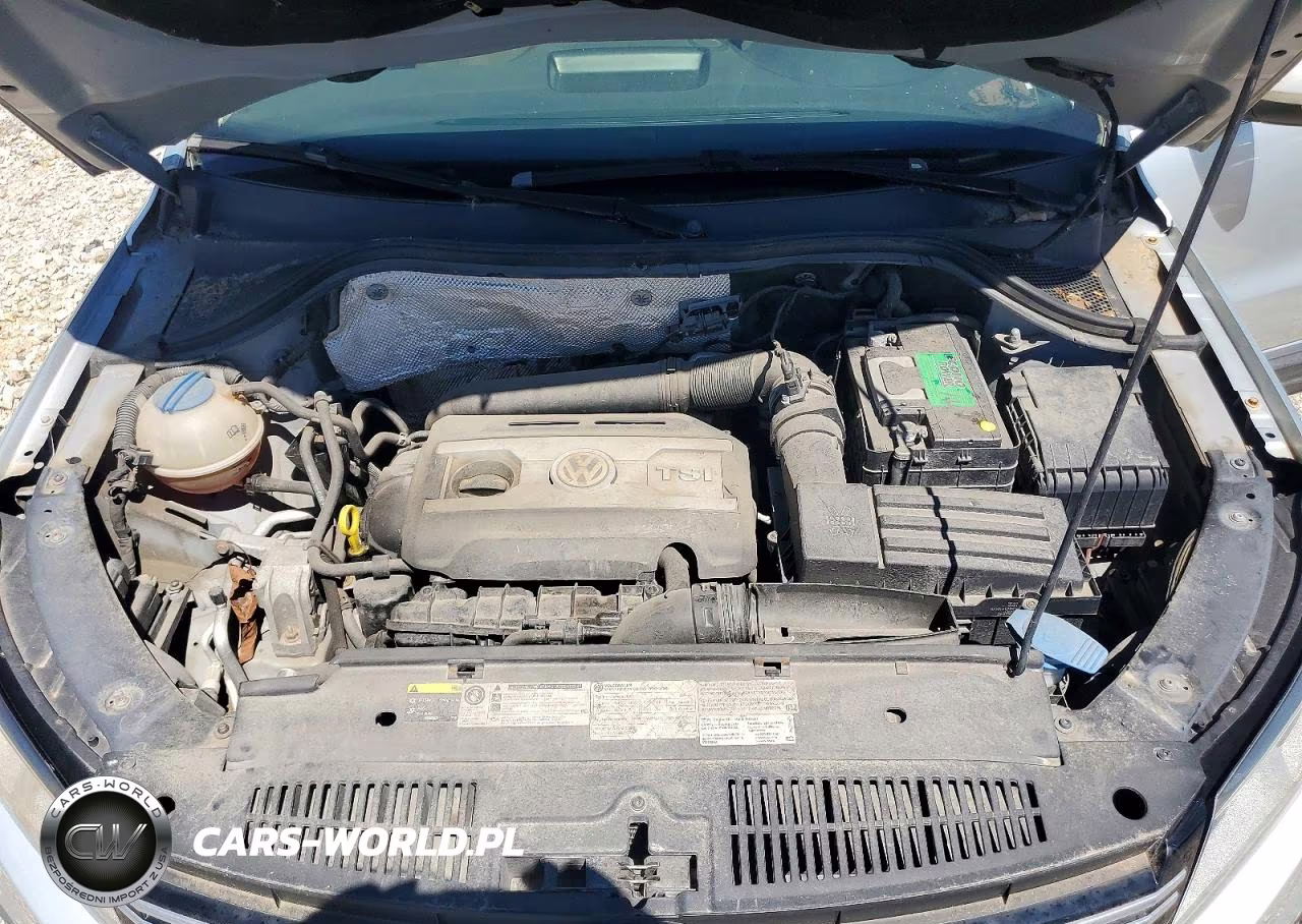 2014 Volkswagen Tiguan S VIN:WVGBV3AX9EW535822 - 12