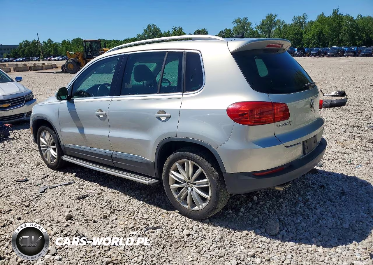 2014 Volkswagen Tiguan S VIN:WVGBV3AX9EW535822 - 2