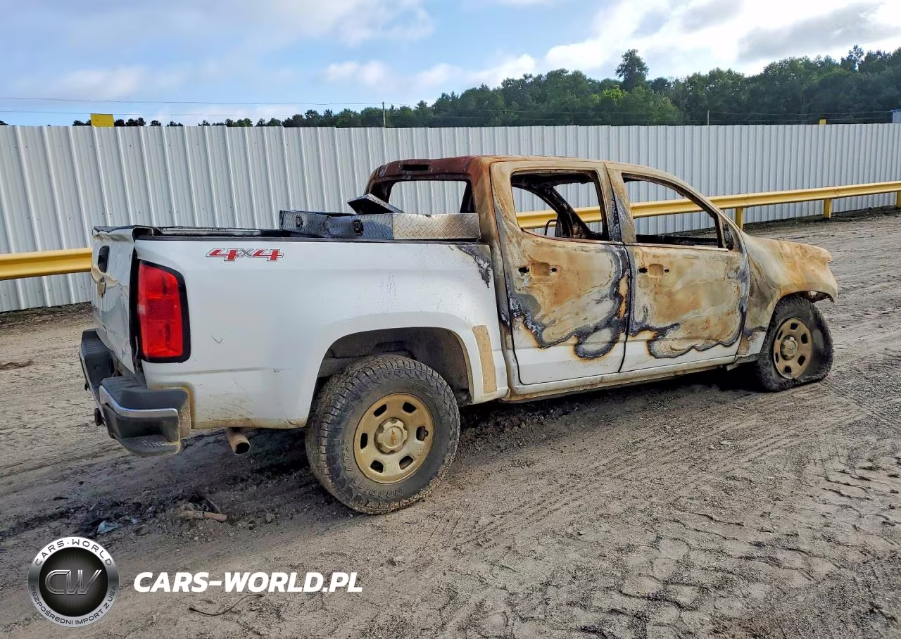 2018 Chevrolet Colorado VIN:1GCGTBEN2J1260515 - 3
