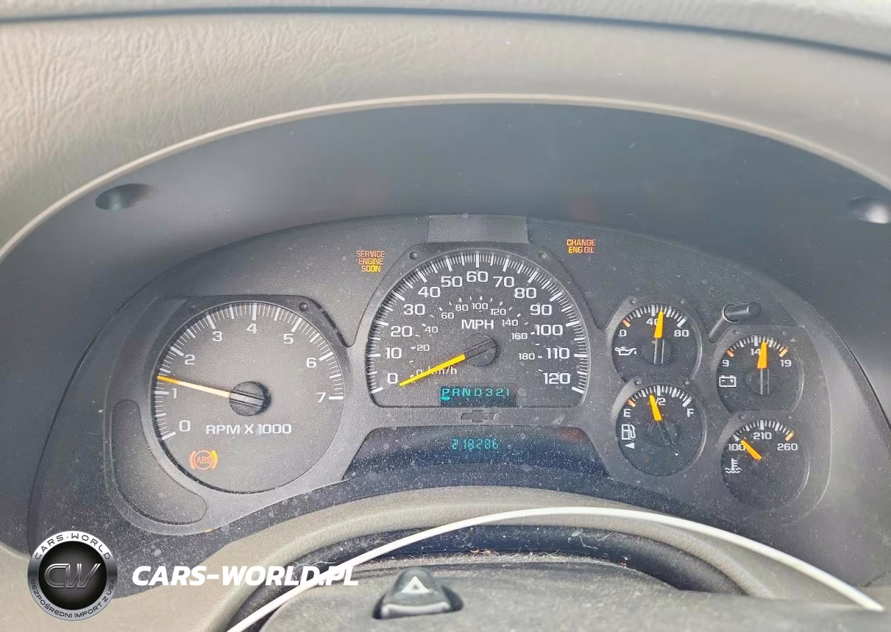 2003 Chevrolet Trailblazer VIN:1GNDT13S232401657 - 9