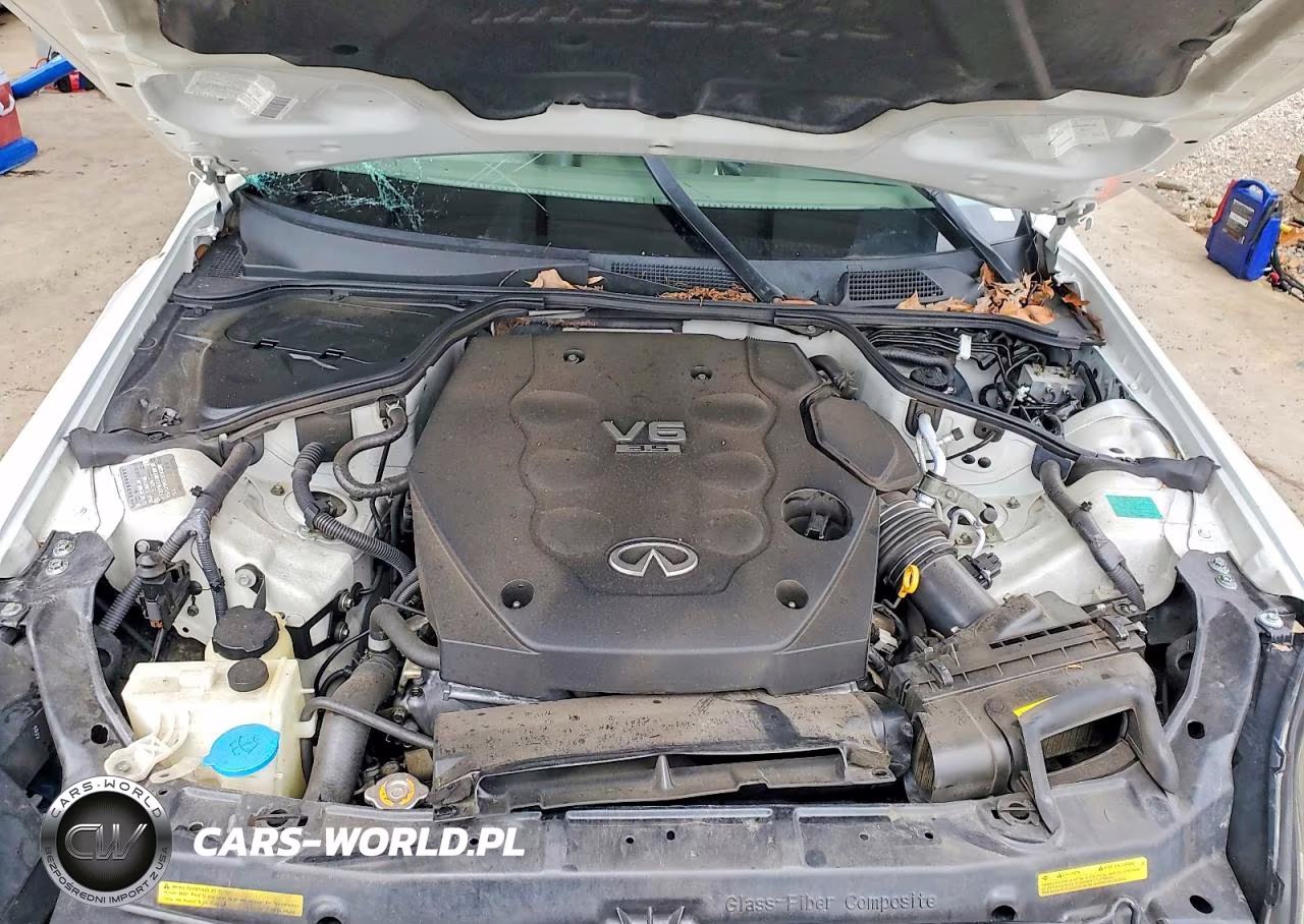 2004 Infiniti G35 Base VIN:JNKCV51E14M614218 - 11