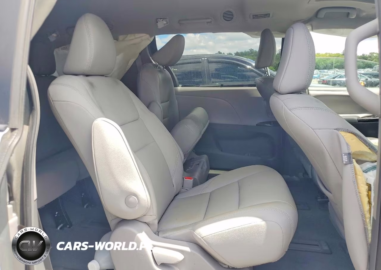 2019 Toyota Sienna Xle 7-Passenger VIN:5TDDZ3DC6KS222541 - 11