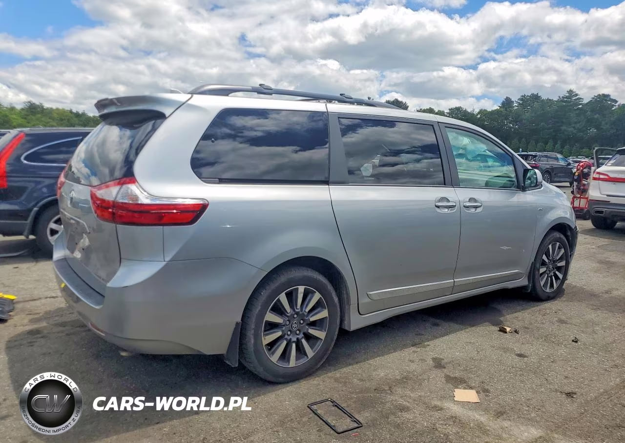 2019 Toyota Sienna Xle 7-Passenger VIN:5TDDZ3DC6KS222541 - 3