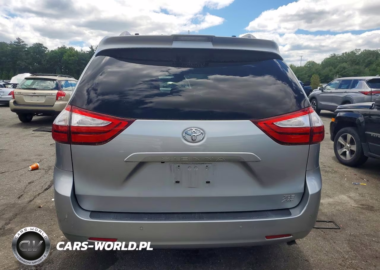 2019 Toyota Sienna Xle 7-Passenger VIN:5TDDZ3DC6KS222541 - 6