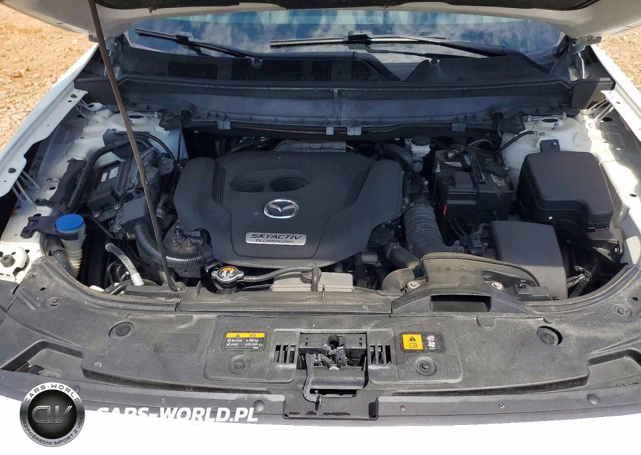 2018 Mazda Cx-9 Touring VIN:JM3TCBCY2J0222615 - 12