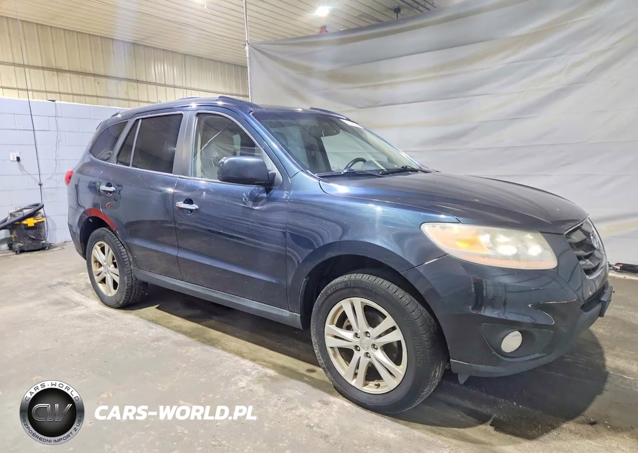 2010 Hyundai Santa Fe Limited VIN:5NMSKDAG1AH339082 - 4