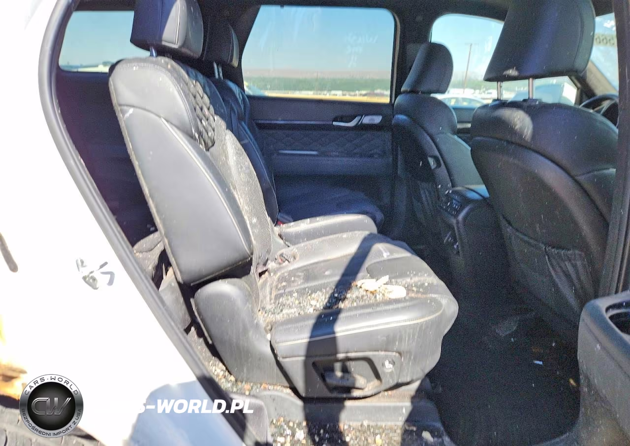 2022 Hyundai Palisade Calligraphy VIN:KM8R7DHE5NU465587 - 10