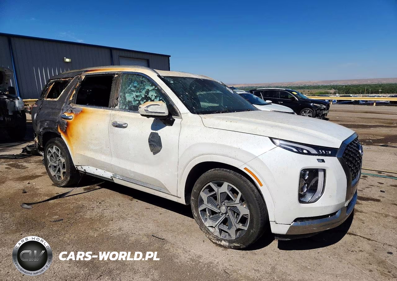 2022 Hyundai Palisade Calligraphy VIN:KM8R7DHE5NU465587 - 4
