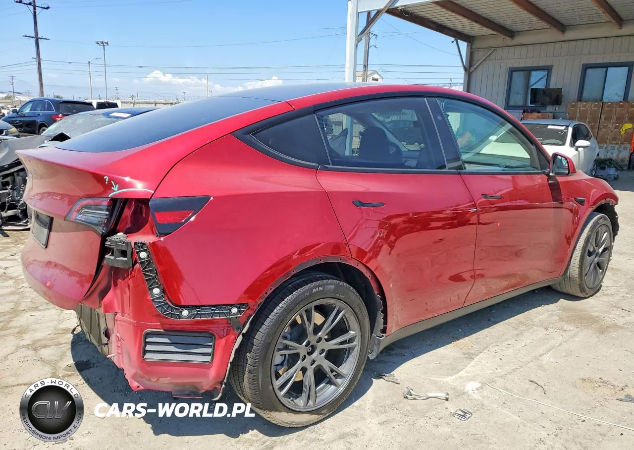2024 Tesla Model Y VIN:7SAYGDEDXRF164553 - 3
