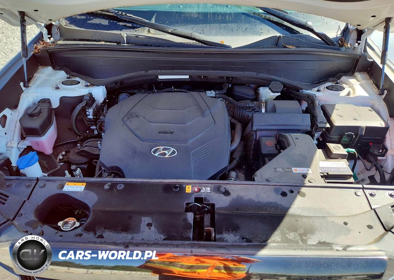 2024 Hyundai Palisade Limited VIN:KM8R54GE9RU679799 - 12