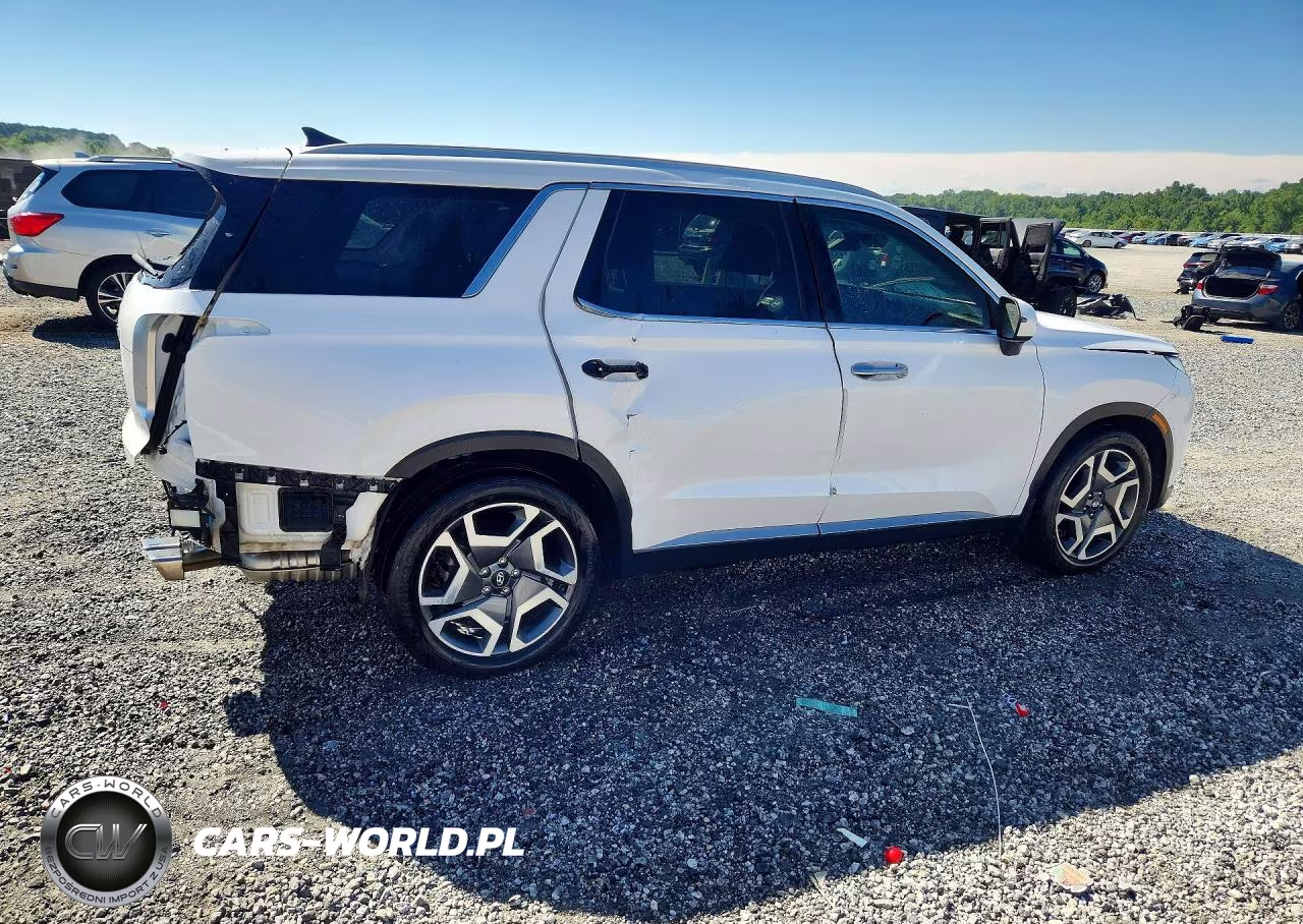 2024 Hyundai Palisade Limited VIN:KM8R54GE9RU679799 - 3
