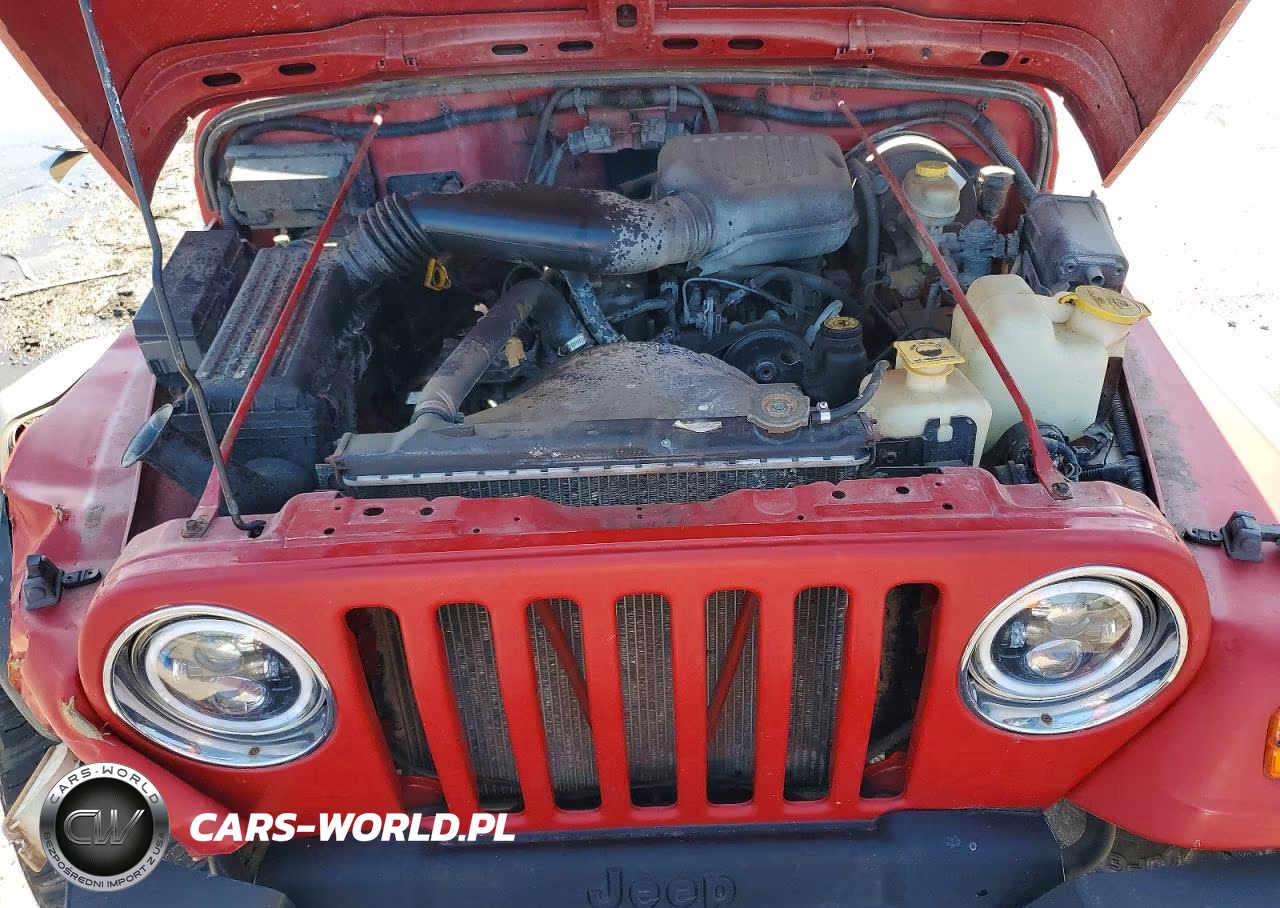 1998 Jeep Wrangler - Tj Se VIN:1J4FY29P7WP700252 - 11