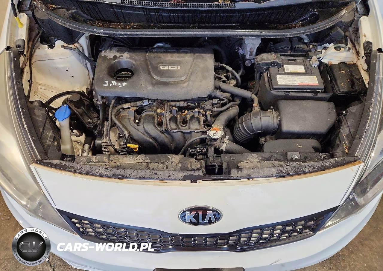 2016 Kia Rio Lx VIN:KNADM4A33G6686187 - 11