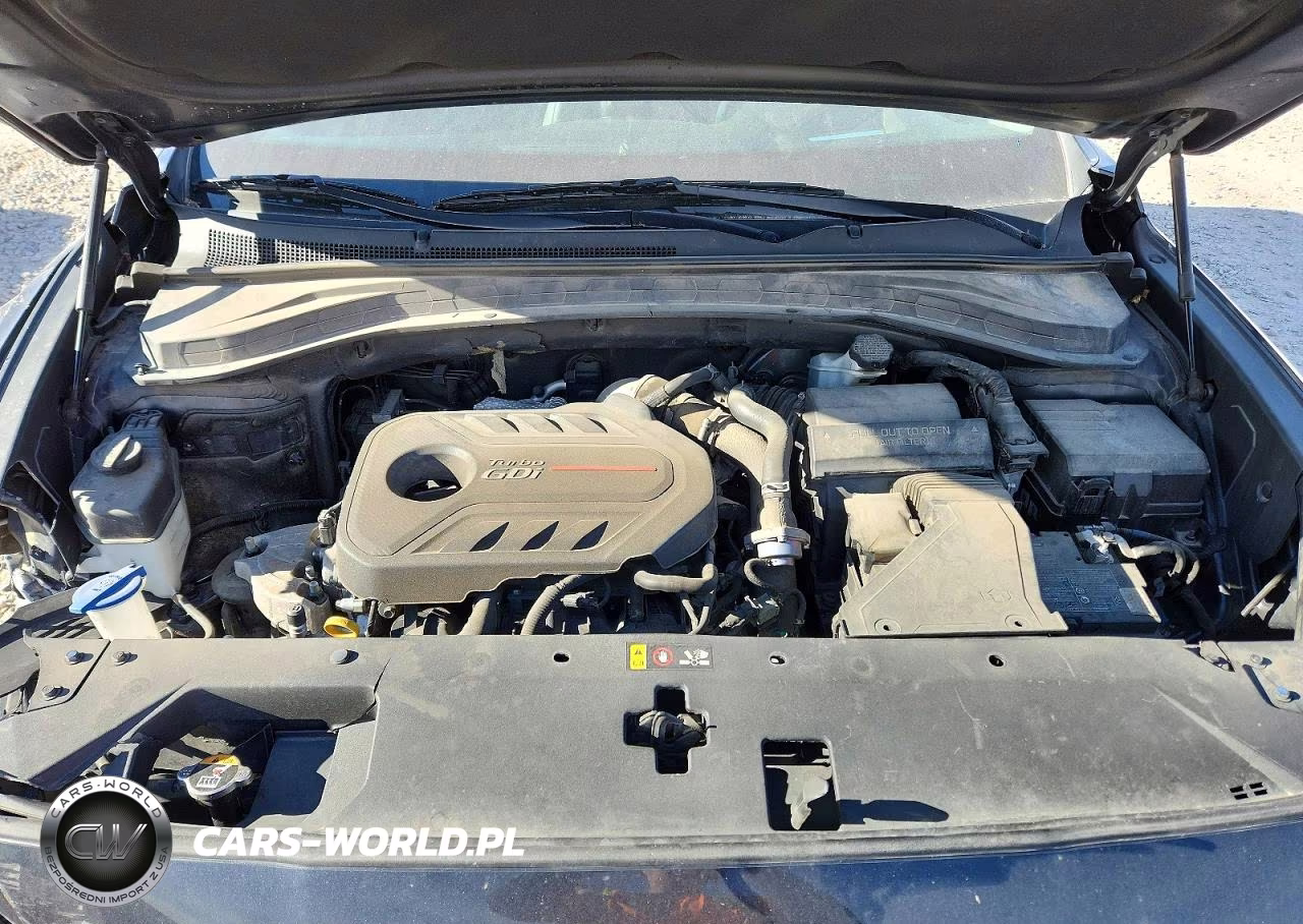 2020 Hyundai Santa Fe Limited 2.0T VIN:5NMS5CAA9LH209521 - 11