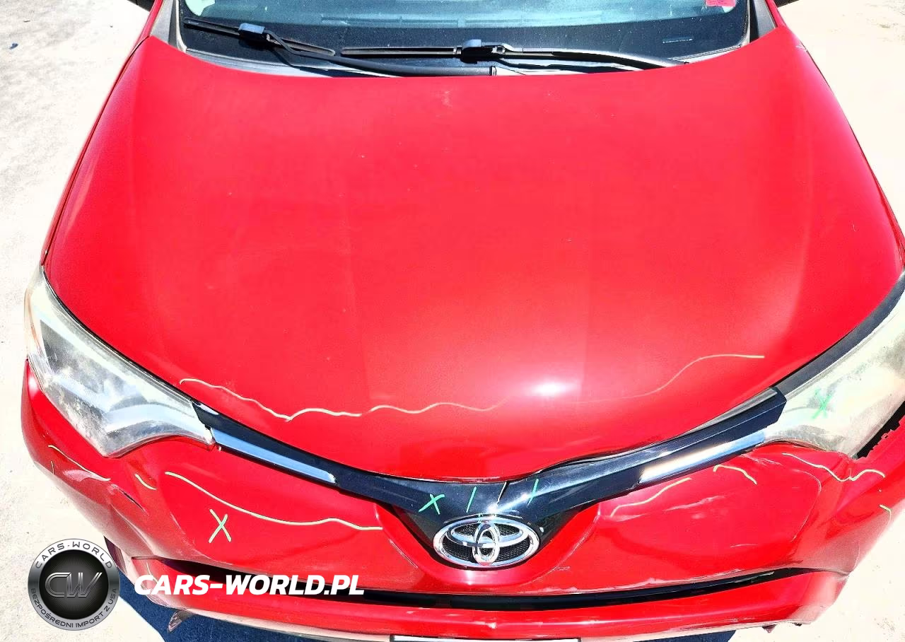 2016 Toyota Rav4 Le VIN:JTMZFREV7GJ062062 - 12