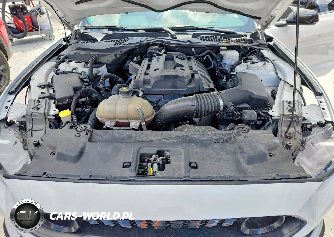 2019 Ford Mustang Ecoboost Premium VIN:1FA6P8TH3K5188725 - 11